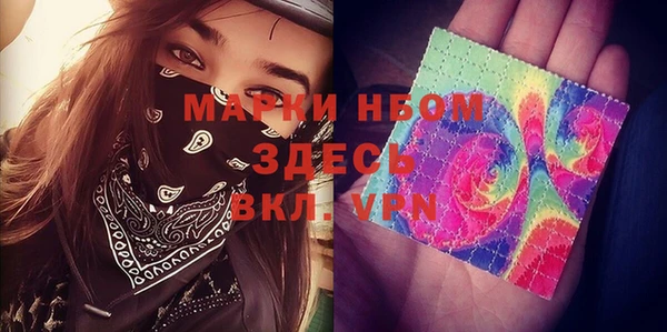 спайс Няндома