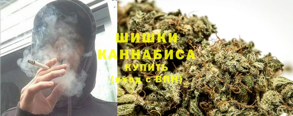 эйфоретик Осинники